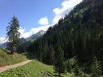 IMG_0117.jpg