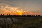 IMG_0440_900x600.jpg