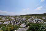 Irland_2013_0913.jpg