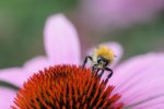 DSC_2791k.jpg