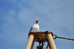 Irland_2013_0993.jpg