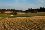 DSC02437.jpg