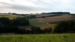 DSC02443.jpg