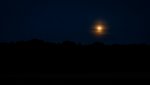 DSC02473.jpg