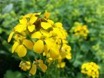 20130616_143424.jpg