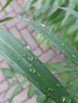 20130625_134006.jpg