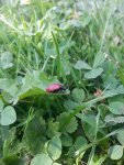 20130718_153545.jpg