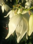 20130725_195357_3_bestshot.jpg