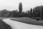 IMGP4106-Bearbeitet2.jpg