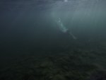 GOPR0062_e.jpg
