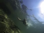 GOPR0587_e.jpg