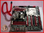 005 Mainboard neue Verschlauchung.JPG