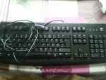 Logitech Deluxe Keyboard 250.jpg
