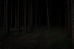 DSC02461.jpg
