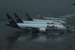IMG_2055.jpg