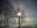 PCGh Schneblick.jpg