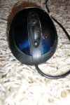 CIMG0549_1.jpg