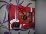 IMGP0677.JPG