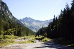 _DSC5859.JPG