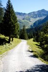 _DSC5877.JPG