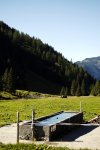 _DSC5901.JPG