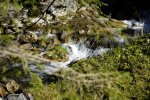 _DSC5916.JPG