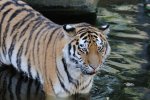 DSC_2919k.jpg