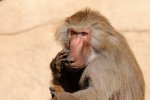 DSC_2986k.jpg