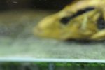 DSC_3313.jpg