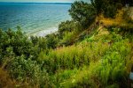 IMG_0114.jpg