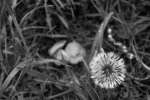 IMGP0672.jpg