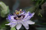 DSC_3394k.jpg