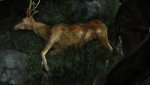 TombRaider_2013_09_12_22_46_39_311.jpg