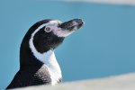 DSC_3083k.jpg