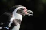 DSC_3087k.jpg