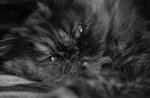DSC00144.jpg