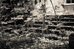 DSC00167.jpg