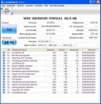 wdc_80gb.JPG