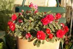 DSC05725_900.jpg