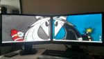 dual.jpg