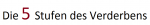 5 stufen des verderbens.png