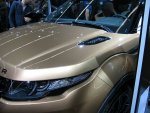 8IMG_0274.JPG