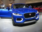 8IMG_0282.JPG