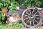 DSC_0076.JPG