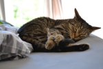 DSC_0073.JPG