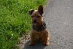 DSC_0073.jpg