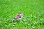 DSC_4566.jpg