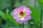 DSC_4614.jpg