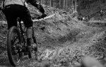 DSC00517.jpg