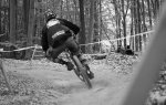 DSC00317.jpg